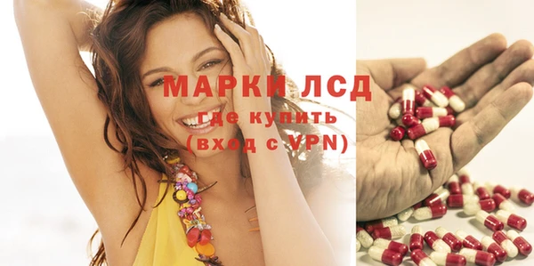 скорость Липки