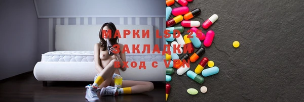ГАЛЛЮЦИНОГЕННЫЕ ГРИБЫ Лагань