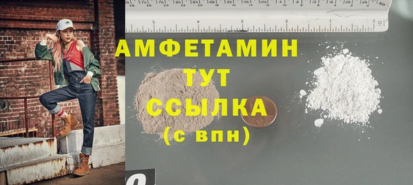 ГАЛЛЮЦИНОГЕННЫЕ ГРИБЫ Лагань
