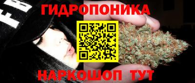 ALPHA PVP Камышлов