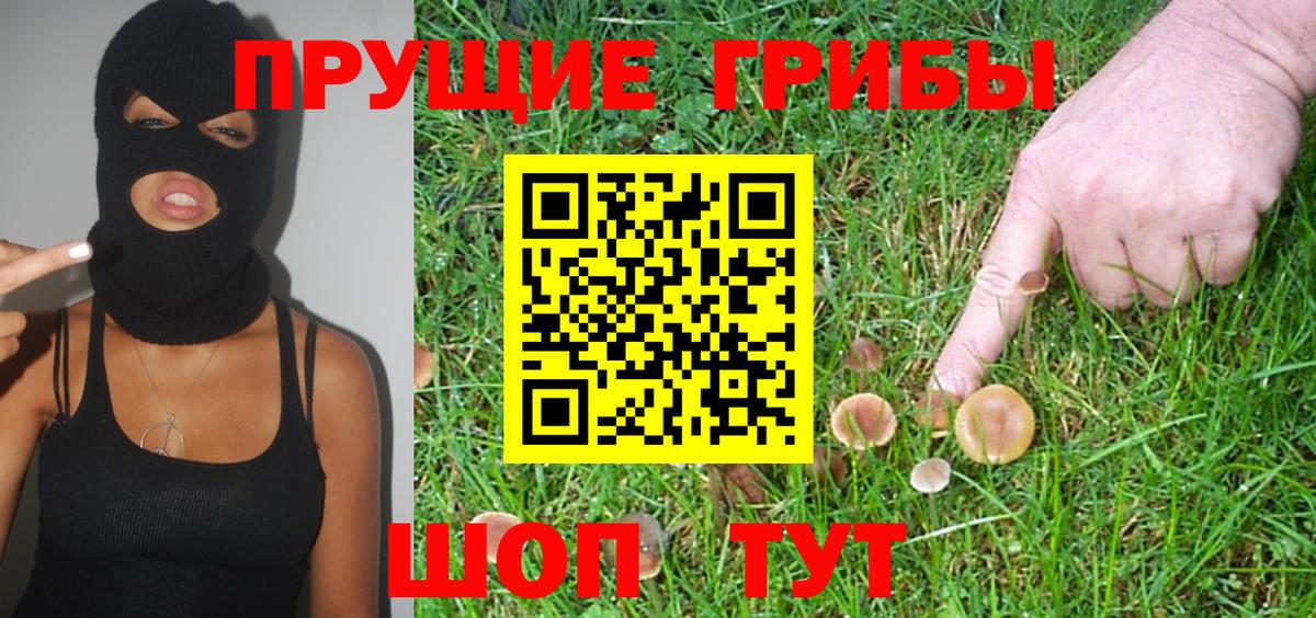 Феодосия  Галлюциногенные грибы Psilocybe  Вход с VPN  Псилоцибиновые грибы прущие грибы 