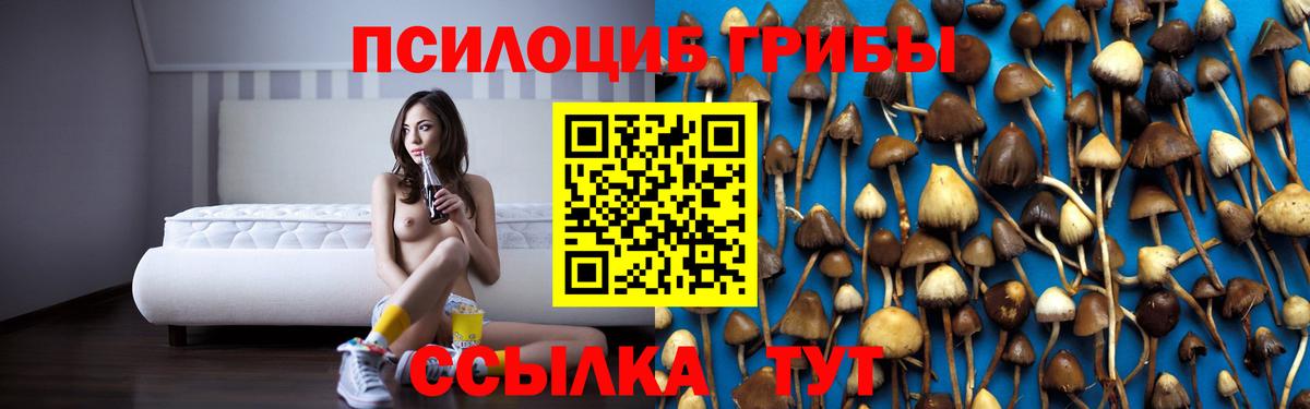 Галлюциногенные грибы мицелий Феодосия